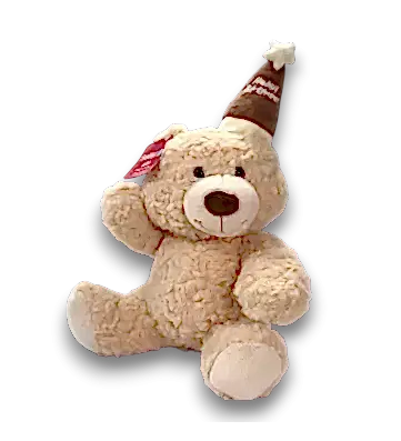 HAPPY BIRTHDAY BEAR 25 CM